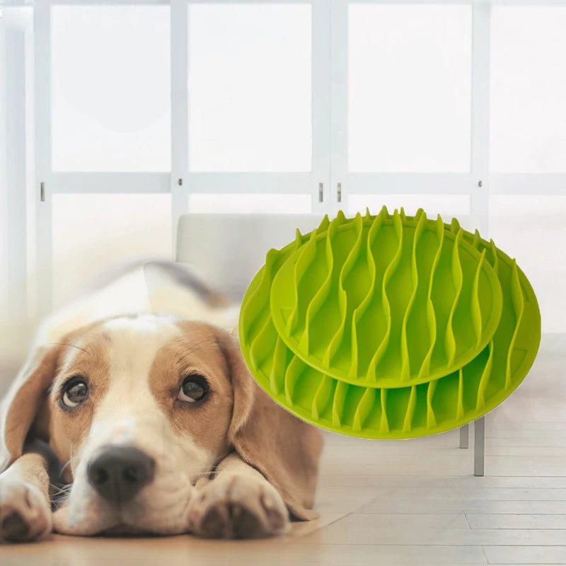 Comedero Antivoraz para Perros