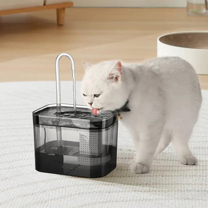 Fuente Bebedero Filtrada para Gatos USB